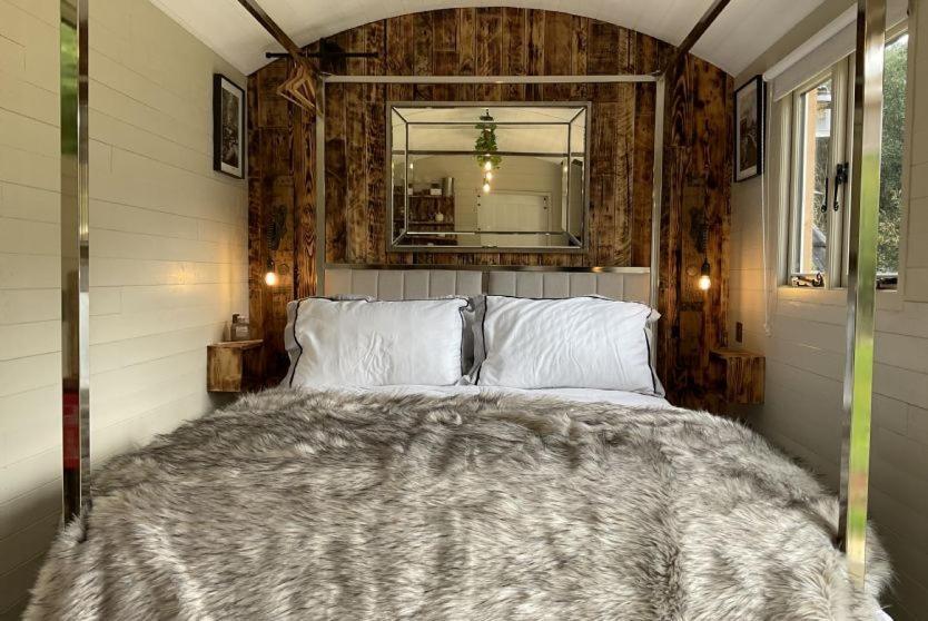 Gillan Creek Retreat Hotel เฮลสตัน ภายนอก รูปภาพ